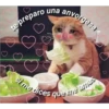 Animalitos 2 5
