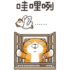 哇哩咧
3.
0