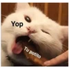 Yop
Tu potito