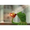 Kermit the frog part 3(Feat. Gerry) 9