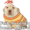Ferb lla cé lo q
bamos a acer of