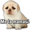 Memes uwu 16 9