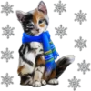 kittens 9