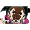 Dragón Ball 9