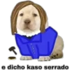 LUCHO 12
