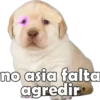 no asia falta
agredir