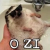 O ZI