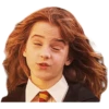 Harry potter memes 12