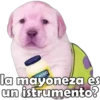 la mayoneza es
un istrumento?