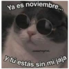 Ya es noviembre...
-conchetugatos
y tú estás sin mi jaja