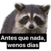 Antes que nada,
wenos días
