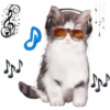 문
놀