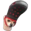 Filhotes fazendo coisas 10