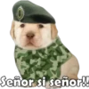 Señor si señor!!