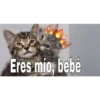 Gatitos ^~^ (by Krys) 13