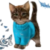939