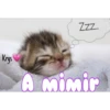 Gatitos ^~^ (by Krys) 14