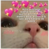 Hola chikibeibi
quería recordarte
que te amo mucho y
espero estar pronto a tu
lado para llenarte de
besos
@mcfly_posting