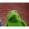 Kermit the frog part 3(Feat. Gerry) 16