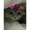 UwU 11