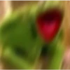 Kermit the frog part 3(Feat. Gerry) 17