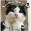 Te invito a jugar al UNO
serendipity sout
pero a UNO encima del otro
