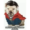 LUCHO 16