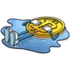 BITCOIN 18