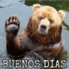 BUENOS DÍAS