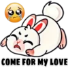 CONEJITO TIERNO 12