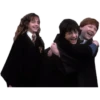 Harry potter memes 16