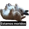 Estamos moridos
