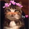 Gatitos ^~^ (by Krys) 16