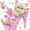 kittens 13
