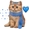 kittens 14