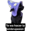 Te wa hacer la
embrujasion