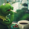 Kermit the frog part 1 (Feat. Gerry) 12