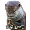 DORIME
