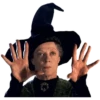 Harry potter memes 17