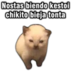 Memes uwu 16 16