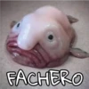 FACHERO