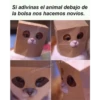 Stickers enfermos, estupidos 2 16