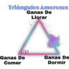 Triángulos Amorosos 15
