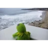 Kermit the frog part 1 (Feat. Gerry) 15