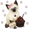 10
Chocolate