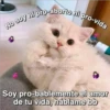 Animalitos 2 20