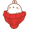Y