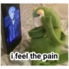 i feel the pain