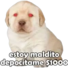 estoy maldito
depocitame $1000