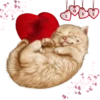 doo
E